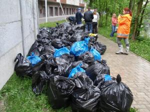 Фото к Семь тысяч жителей вышли на экологическую акцию «Сделаем вместе»